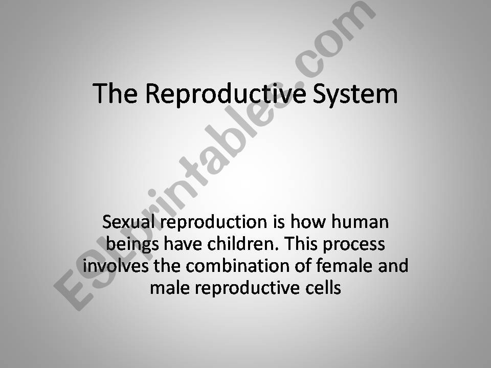 The Reproductive System powerpoint