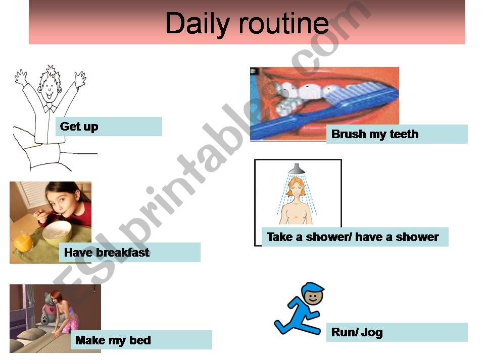 daily routine and simple present present