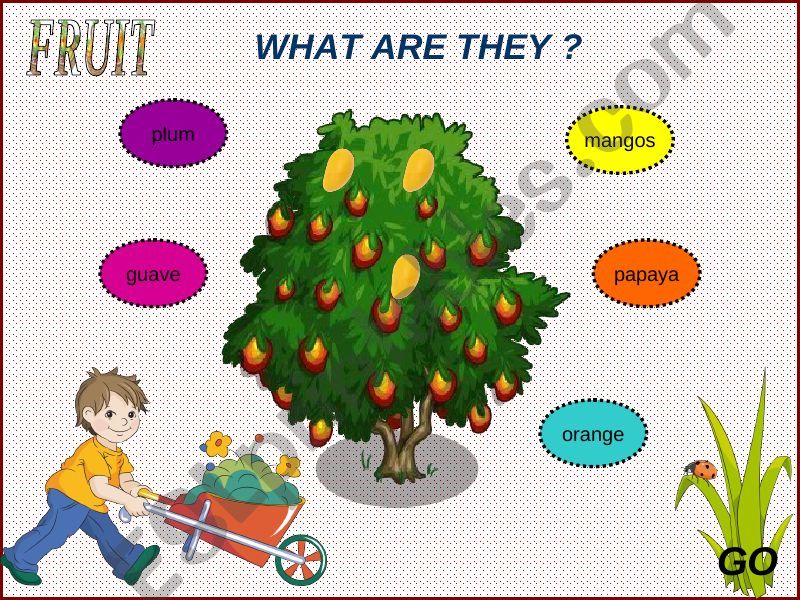 FRUIT GAME 3 powerpoint