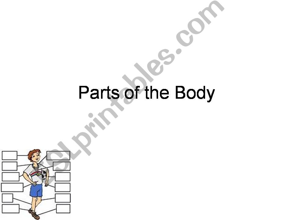 Bodyparts powerpoint