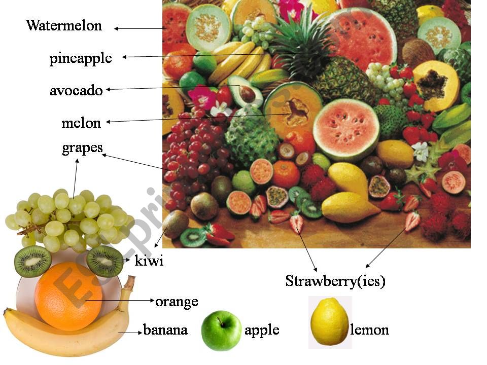 fruit and veggies vocabulary powerpoint