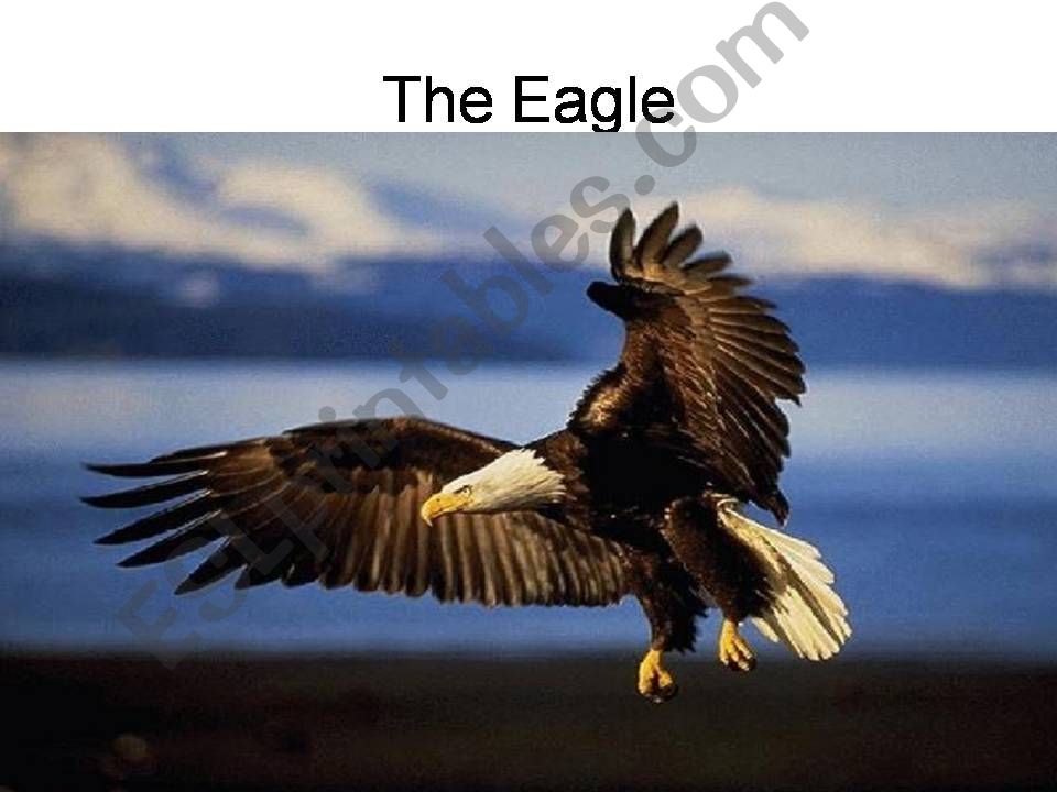 The Eagle powerpoint