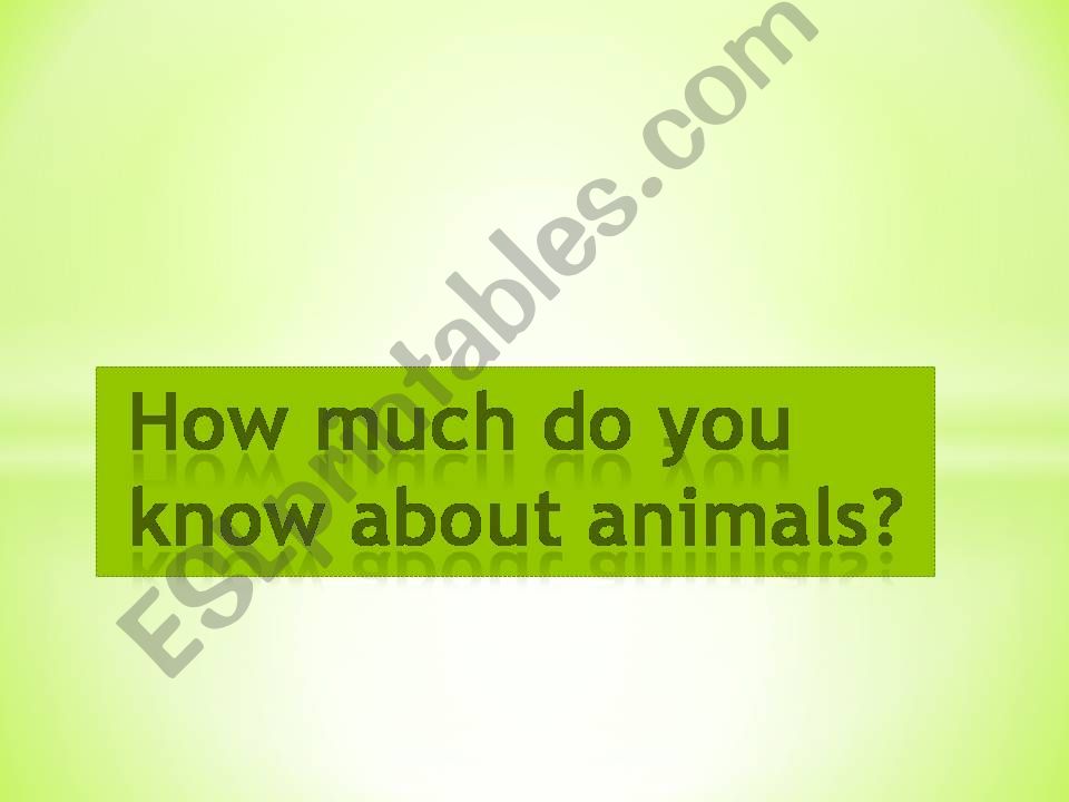 animals game powerpoint