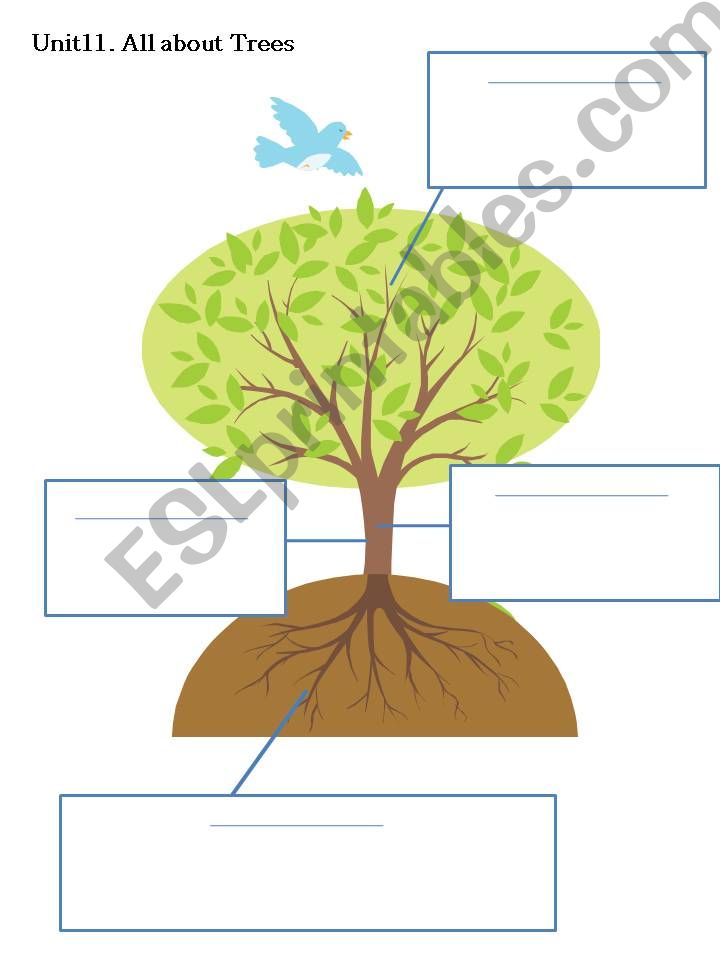 Tree parts powerpoint