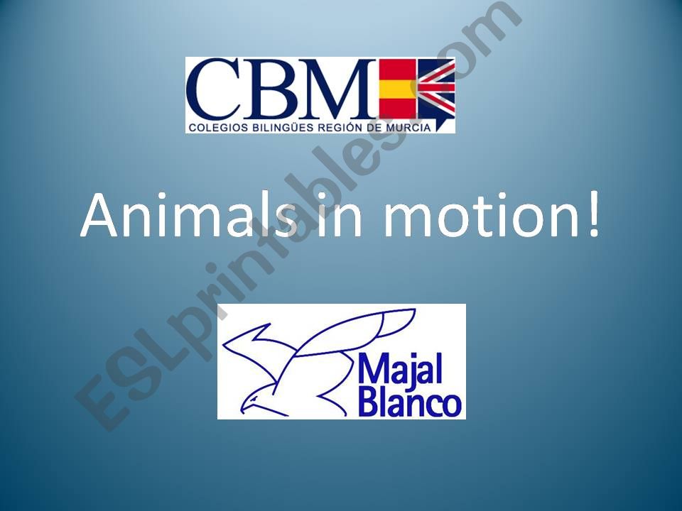 Animals in motion powerpoint