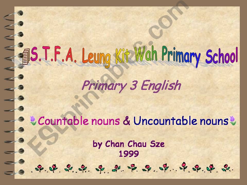 Countable and Uncountable nouns-2