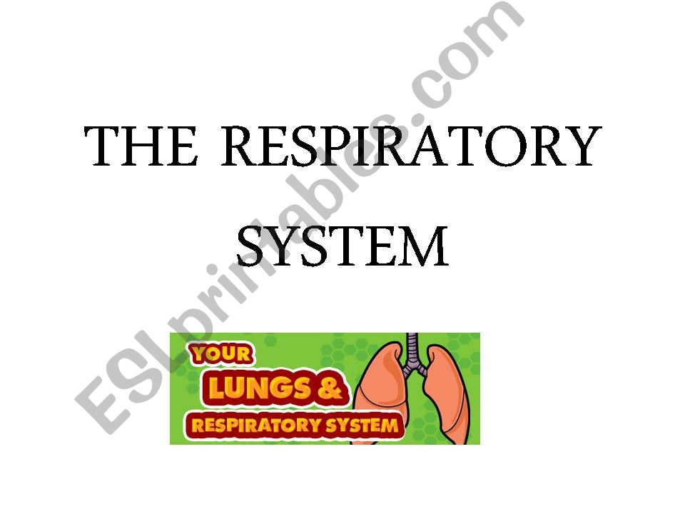THE RESPIRATORY SYSTEM powerpoint