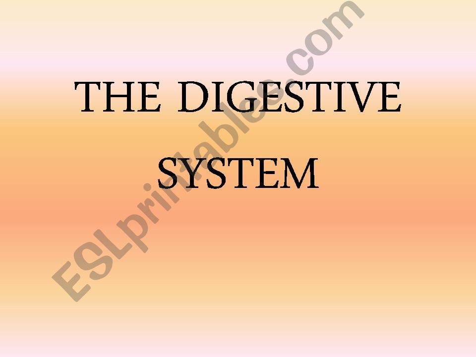 The digestive system powerpoint