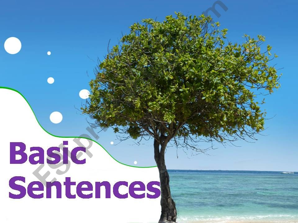 Basic Sentence Structures powerpoint