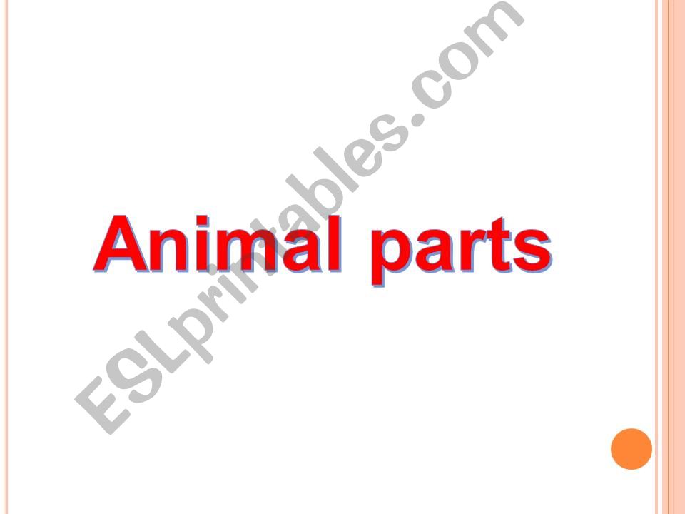 animal parts powerpoint