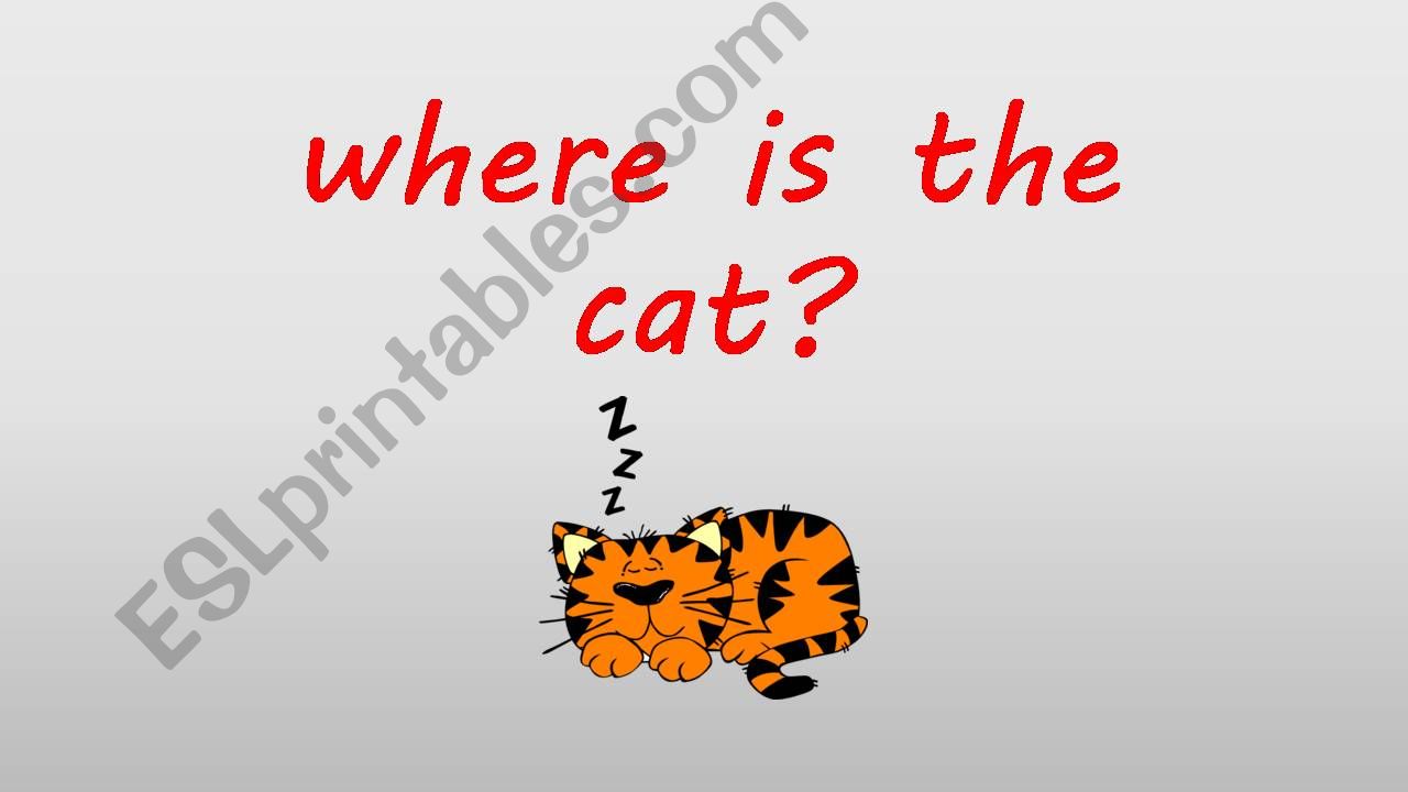 Where is the cat? powerpoint