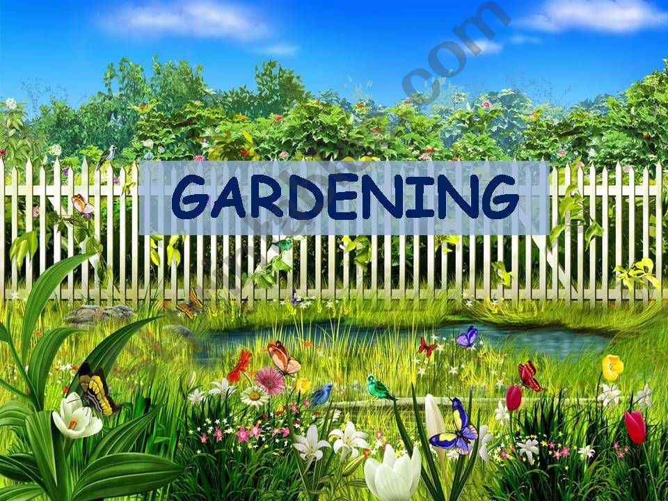 Gardening vocabulary powerpoint