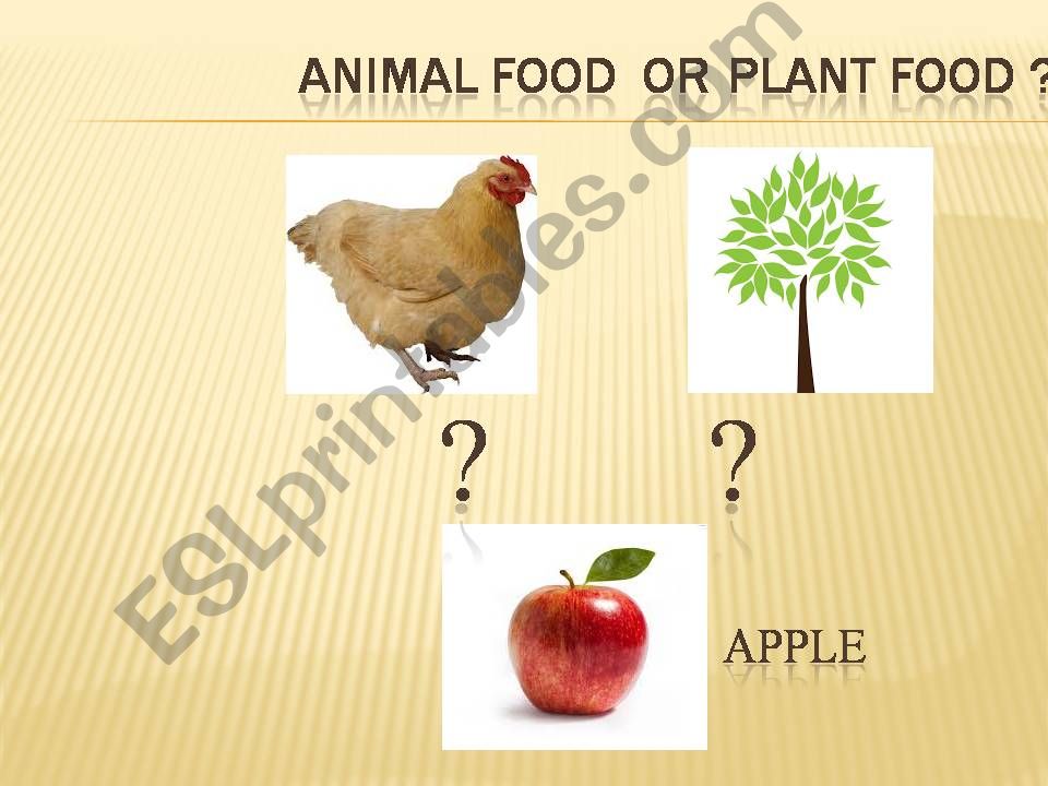 Animal food or plant food powerpoint