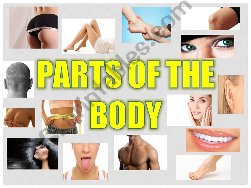 Esl English Powerpoints Parts Of The Body