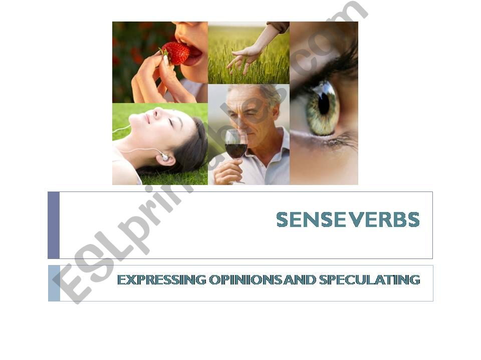 Sense Verbs powerpoint