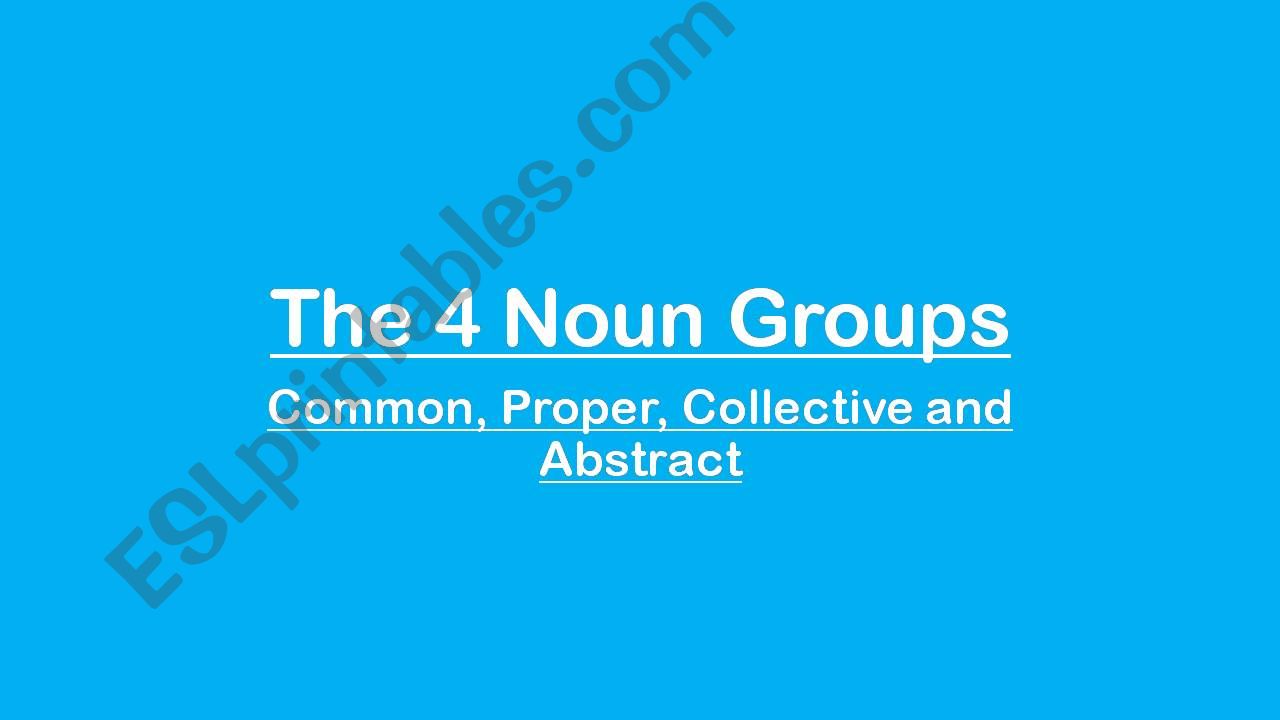 The Four Noun Groups powerpoint