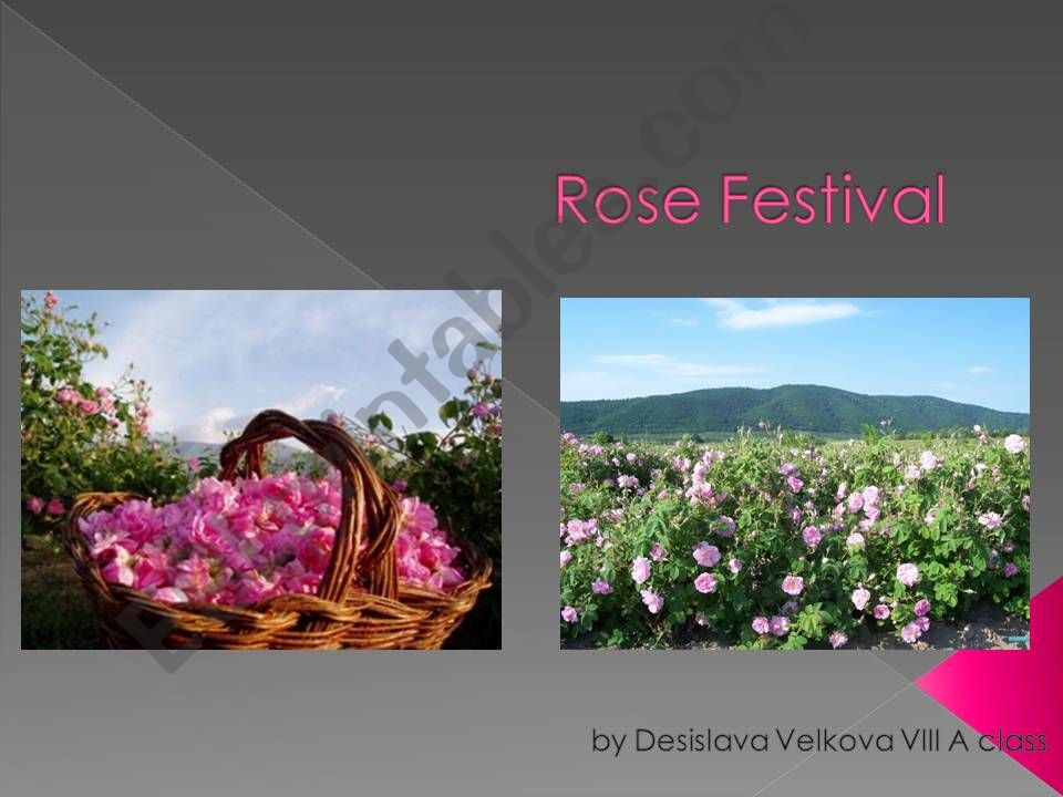 Rose festival powerpoint