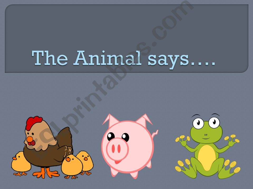 The Animal Says... powerpoint