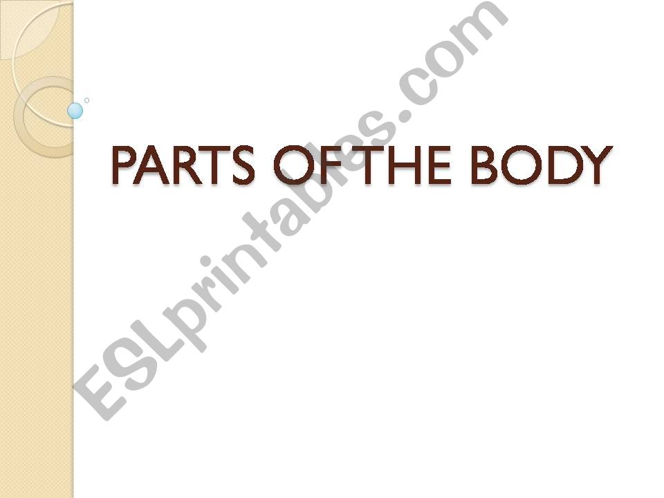 Parts of the Body powerpoint