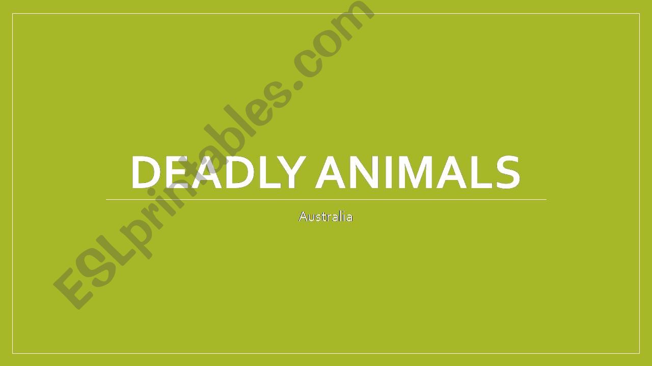 Deadly Australian Animals  powerpoint