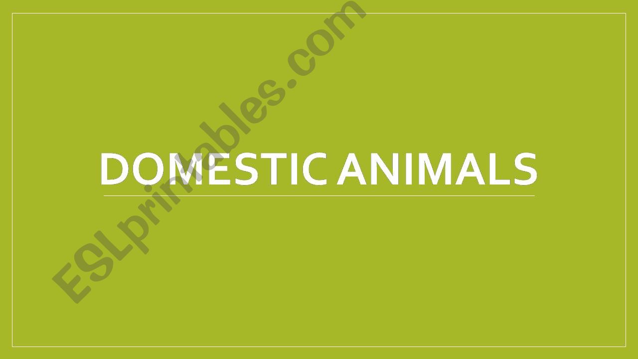Domestic animals powerpoint