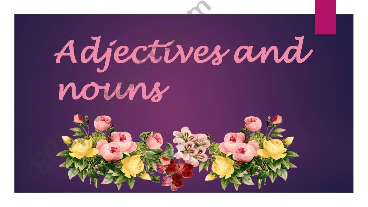 Adjectives and nouns powerpoint
