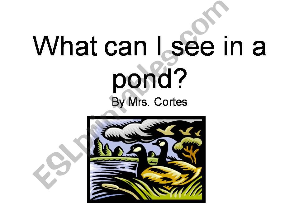 What can I see in a Pond? powerpoint