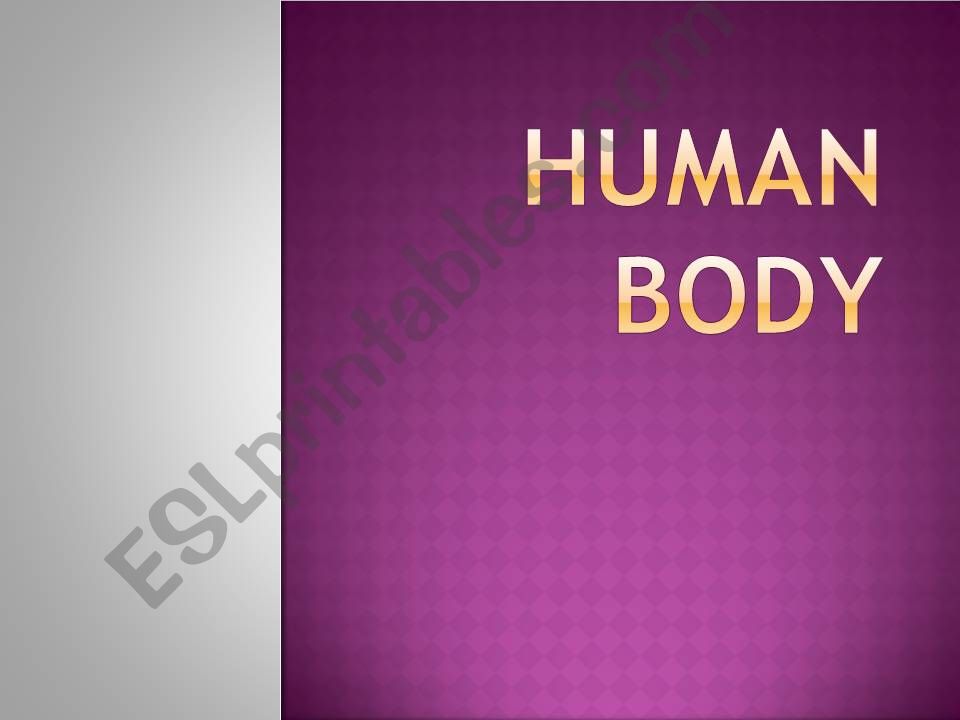 Human Body powerpoint