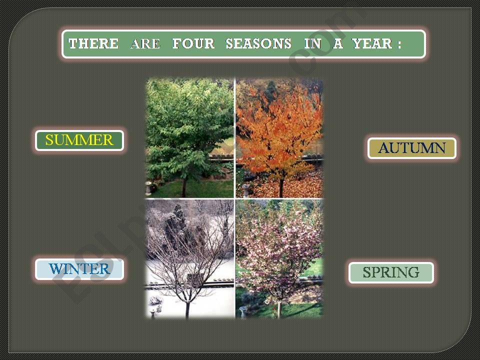 Seasons powerpoint