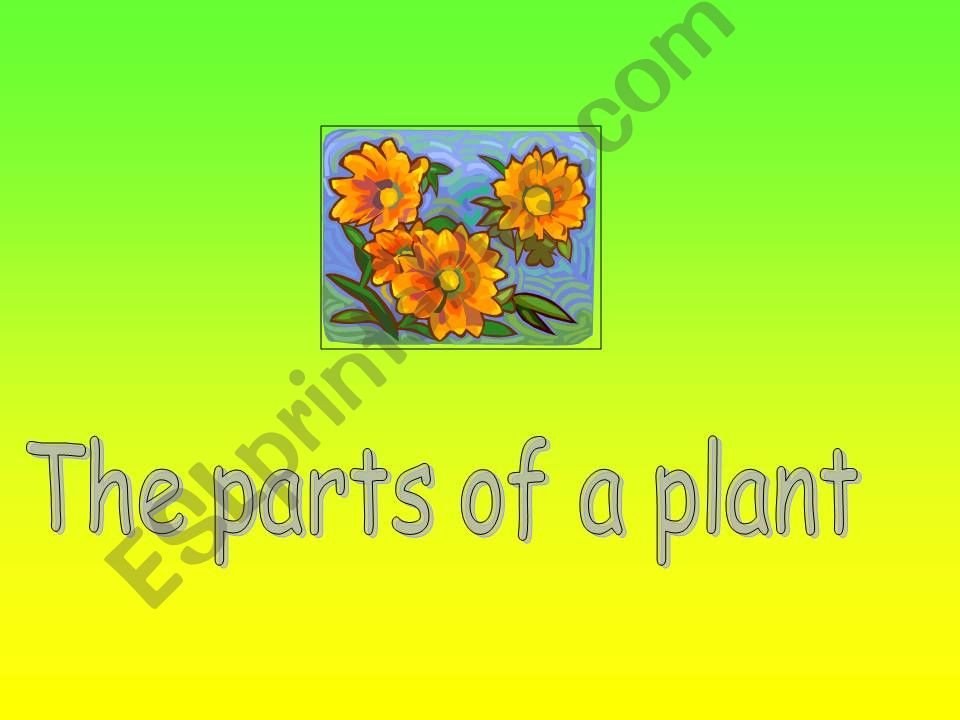 parts of a plant powerpoint