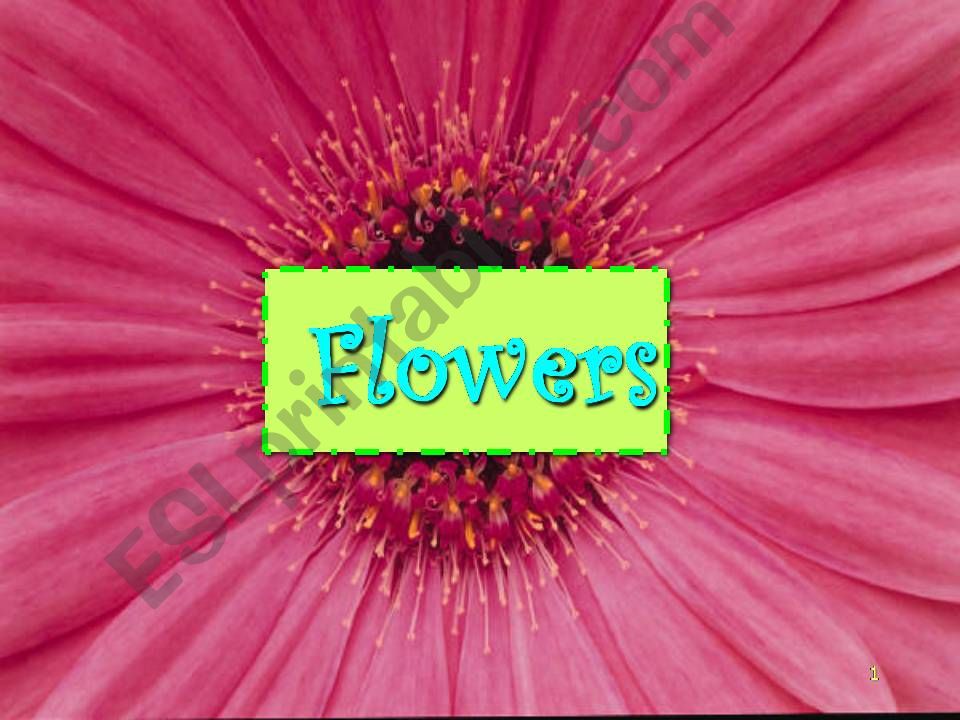 Flowers powerpoint