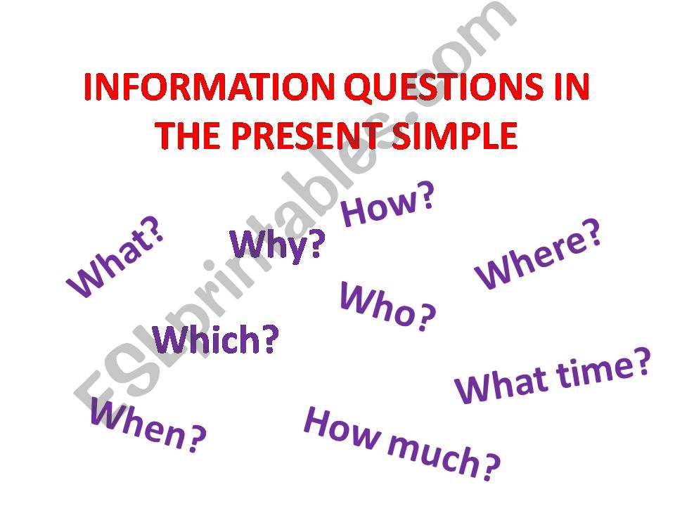 Information questions in the present simple