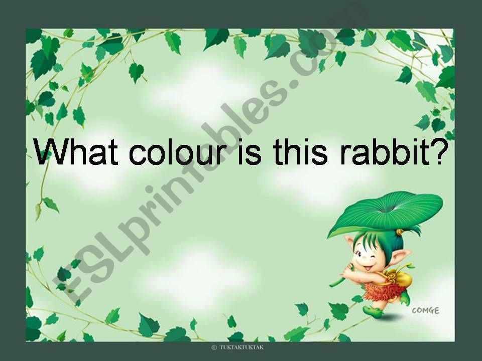 what colour is this rabbit powerpoint