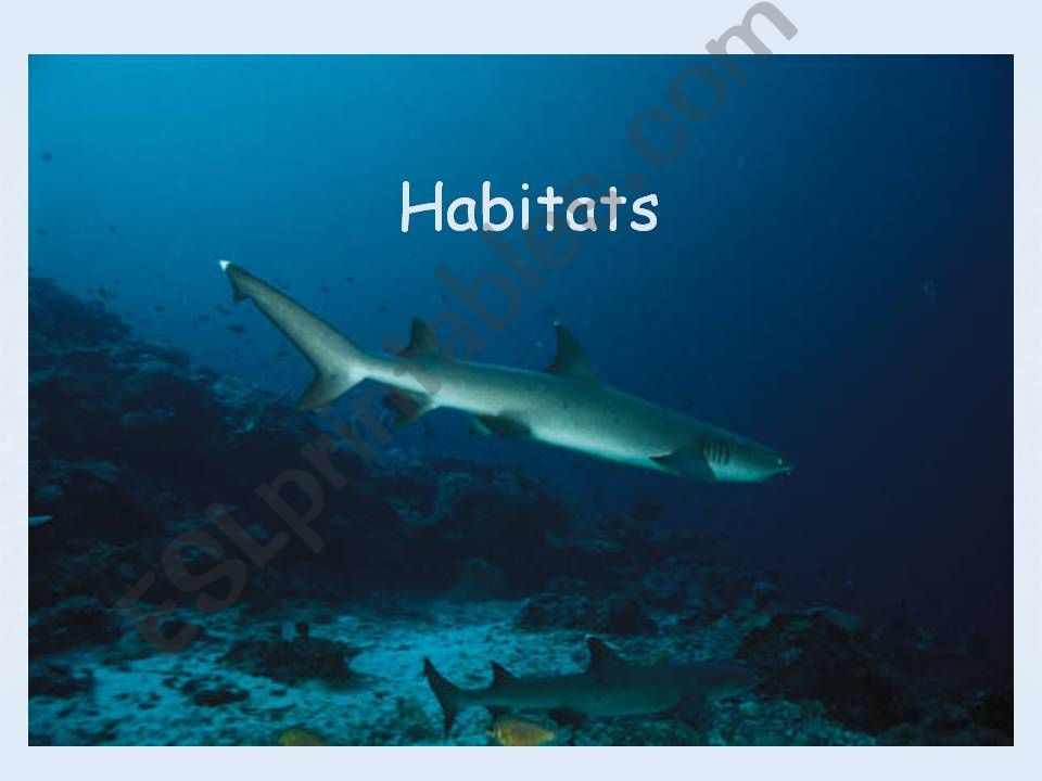 Habitat powerpoint