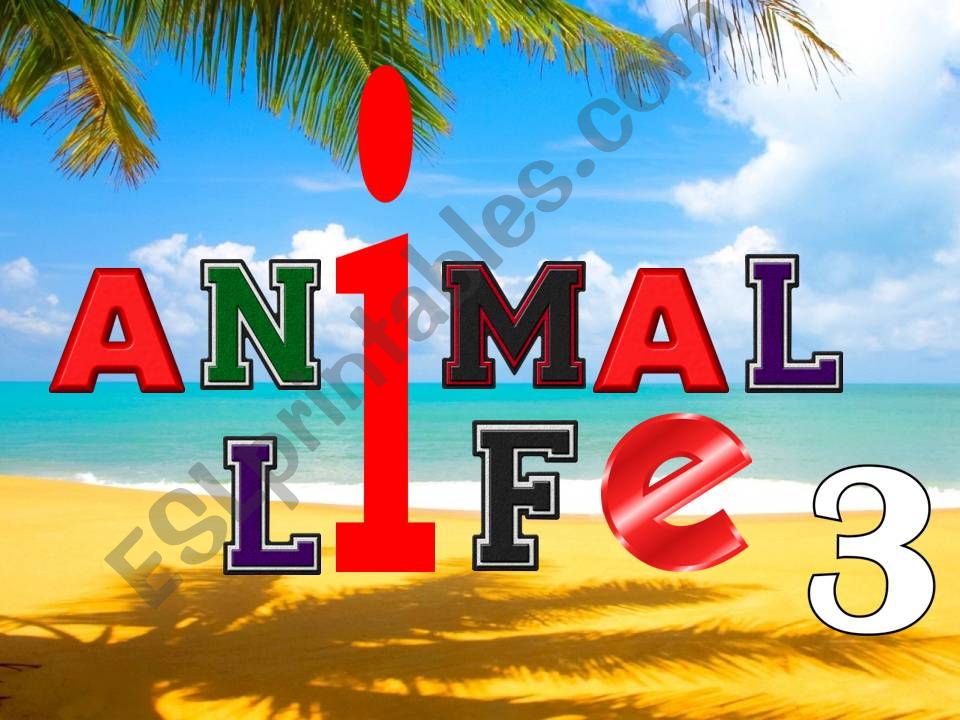 ESL - English PowerPoints: Animal life 3