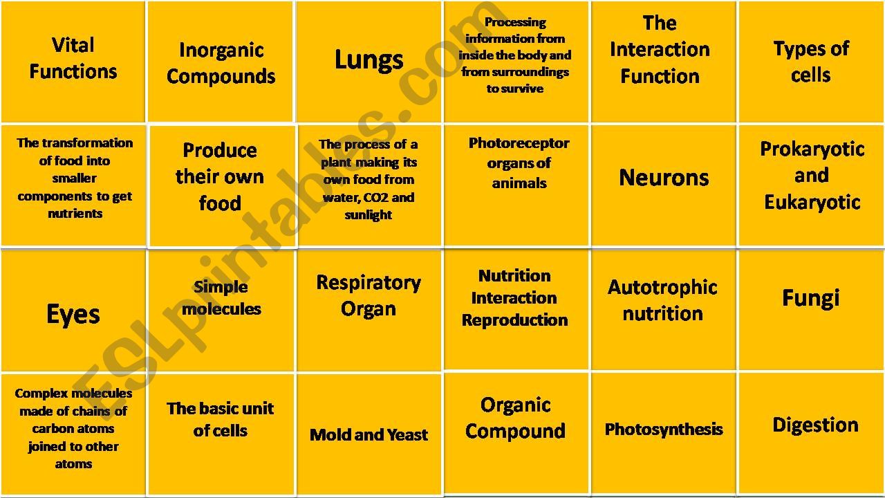 Living Things  powerpoint