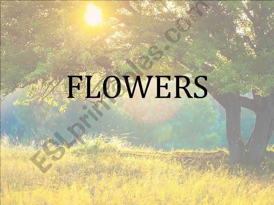 FLOWERS PRESENTATION + QUIZ powerpoint