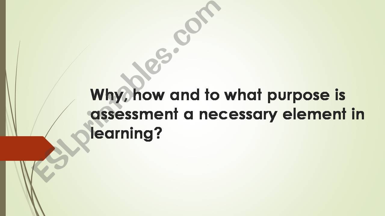 Is assessment a necessary element in learning?