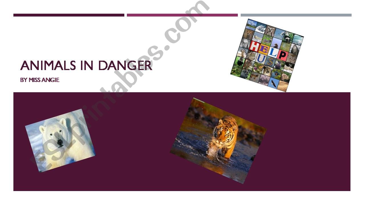 Endangered Species powerpoint