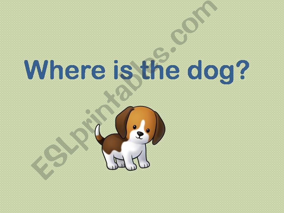 Where is the dog? powerpoint