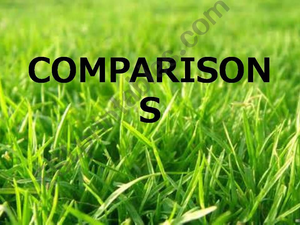 Animal Comparisons powerpoint
