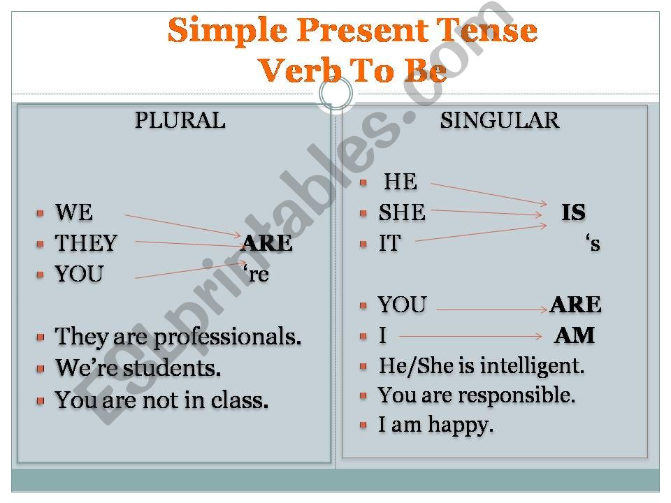 Simple Present Tense: Statements and Questions
