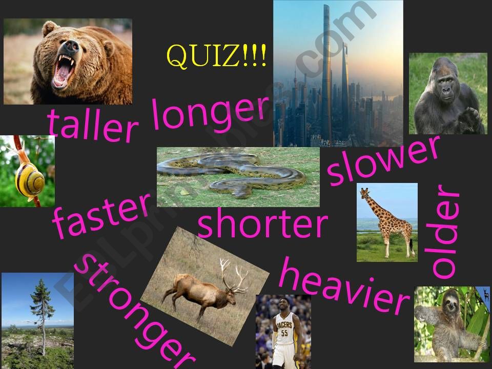 Comparative Quiz powerpoint