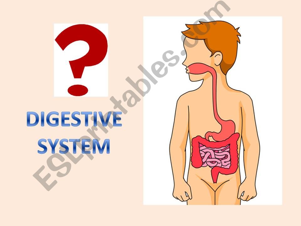 Body systems powerpoint