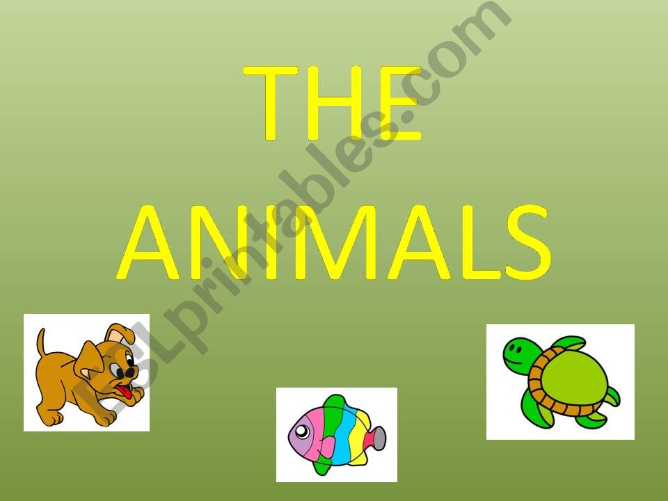 THE ANIMALS powerpoint