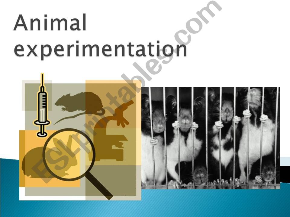 Animal Experimentation powerpoint