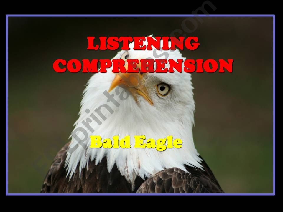 The bald eagle-listening powerpoint