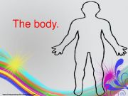 English powerpoint: Body parts PPT