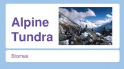 English powerpoint: Alpine tundra presentation
