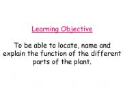 English powerpoint: parts of the flower